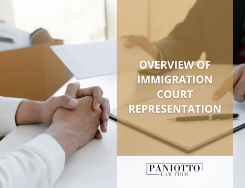 Overview of Immigration Court Representation