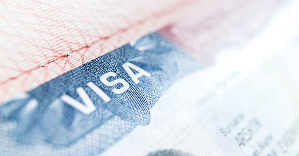 lawyer for the U visa